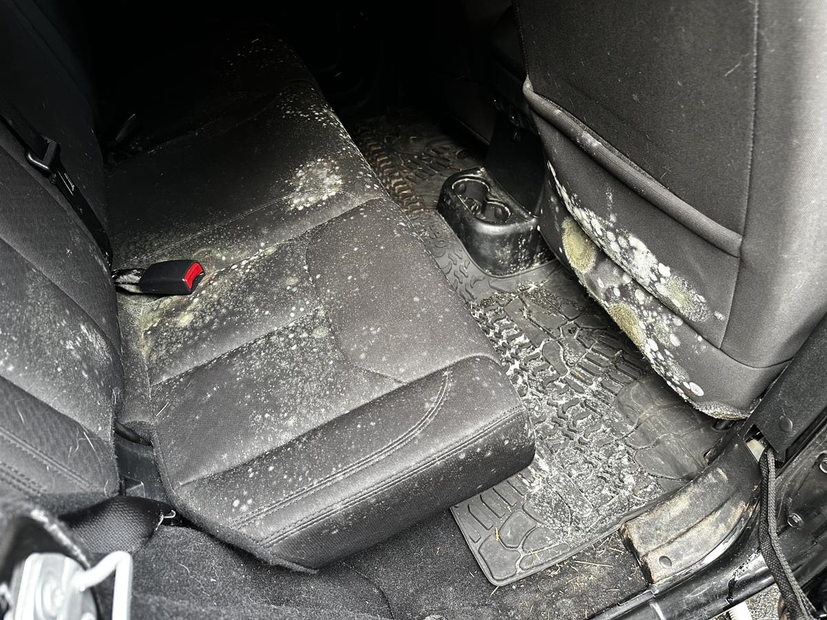Before detailing — severe mold on black SUV seats